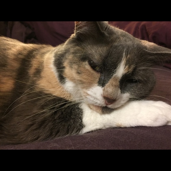 Meet your Posher, Michele - Picture 3 of 3